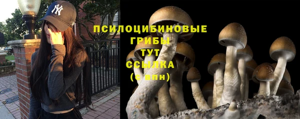 хмурый Корсаков